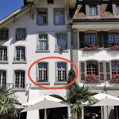 Apartment Loft Rathausplatz 5